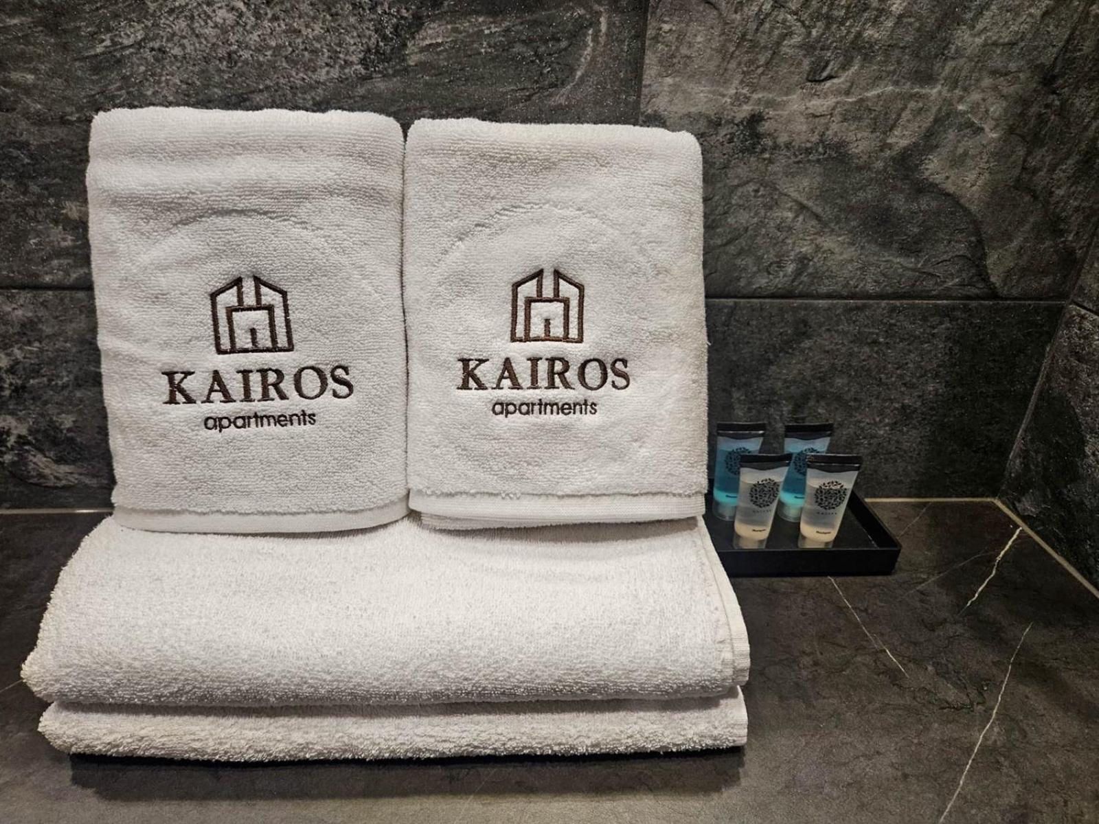 Kairos Apartments -Tower II Premium - Darmowy Parking, Silownia, Sauna - Scisle Centrum Katowice Eksteriør billede
